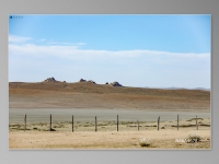 mongolia-web-site-589